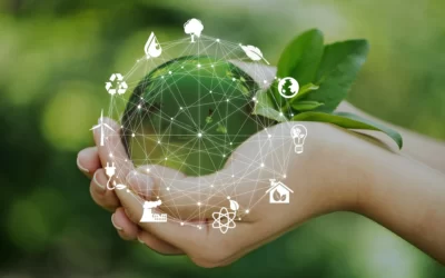 التصريح البيئي